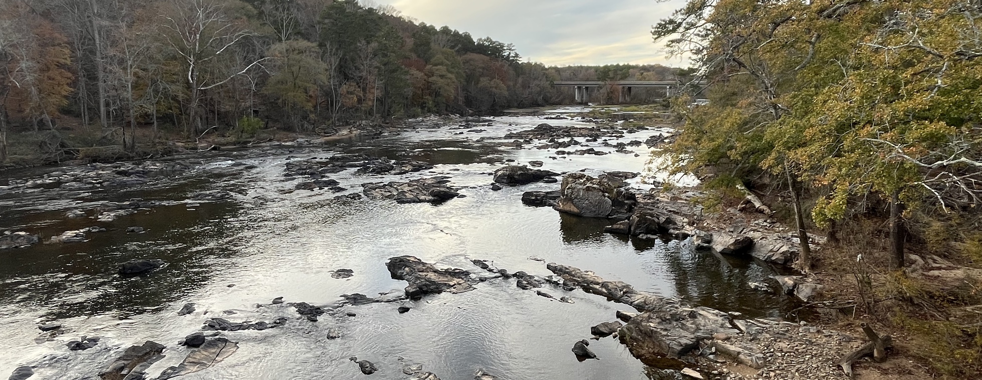 River Reflections: Nature Art Day